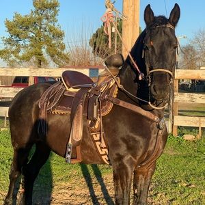 Meet your Posher, Martha